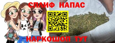 сатива Будённовск